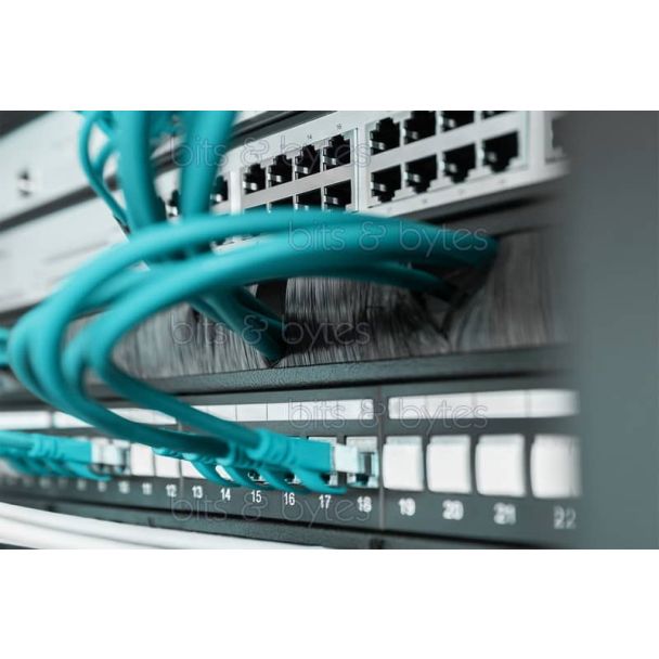 Digitus 1U 19-inch Brush Cable Management Panel DN-97661 4016032430605